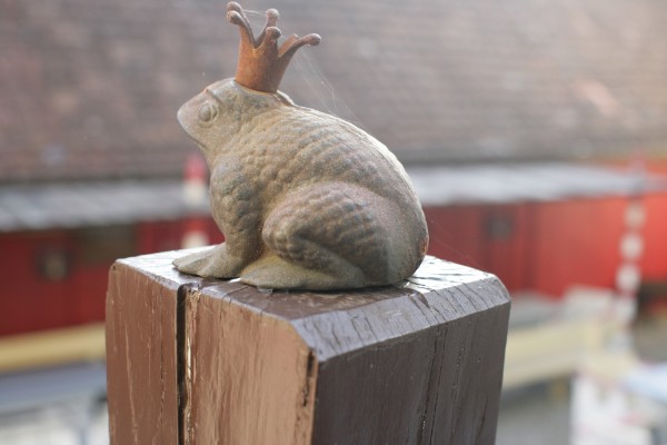 Frosch Frosch